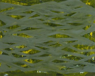 artwork by Tim McFarlane