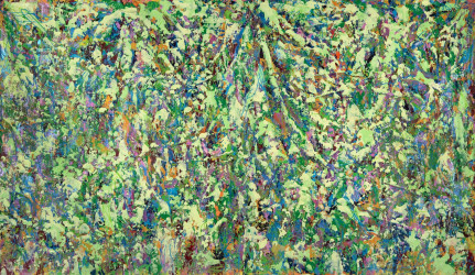 Tim McFarlane Optimistic Overload (The Meadow)